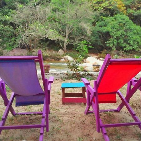 Casa Rio Cuale And River Retreat 푸에르토 발라타 외부 사진