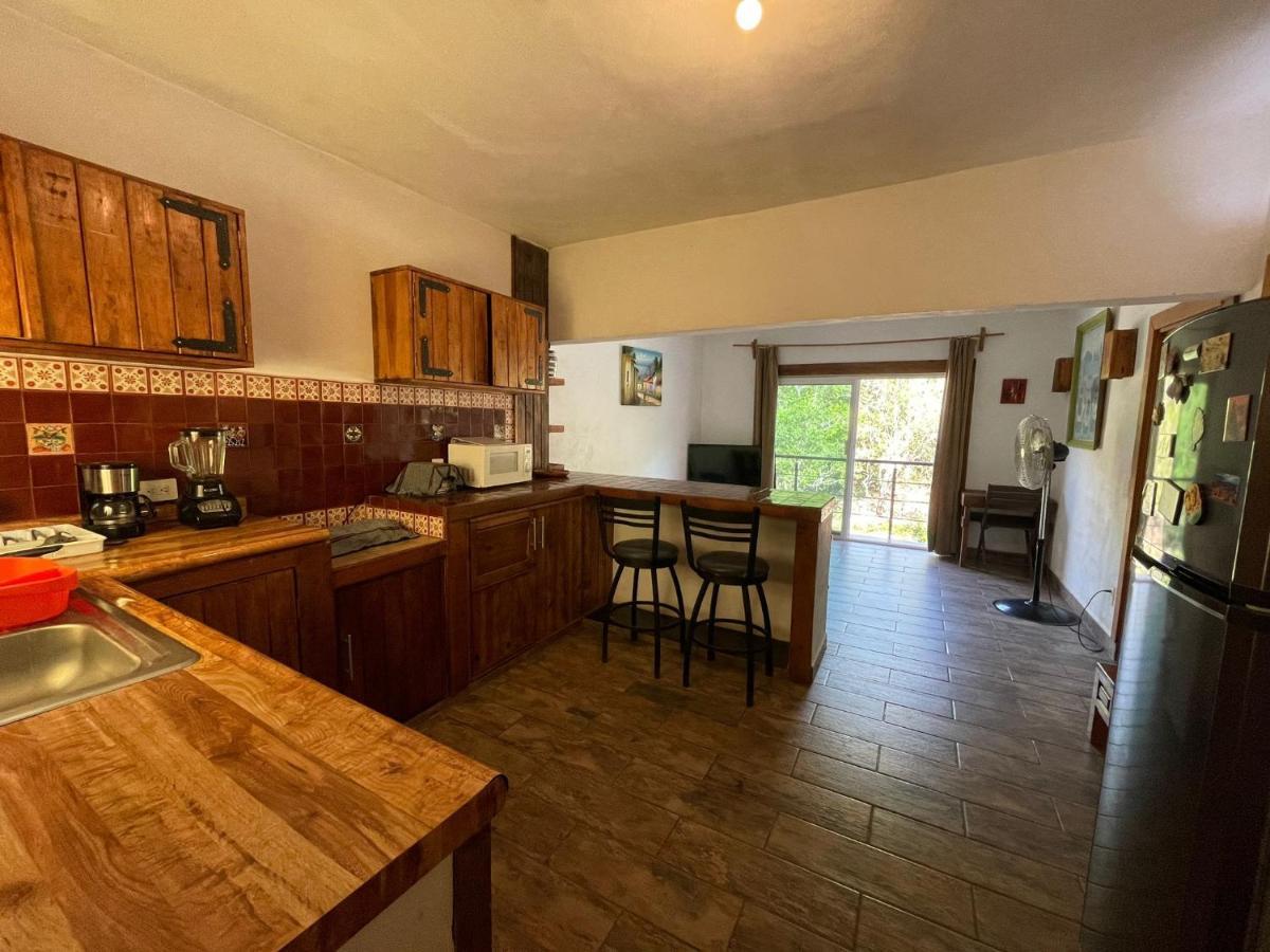 Casa Rio Cuale And River Retreat 푸에르토 발라타 외부 사진