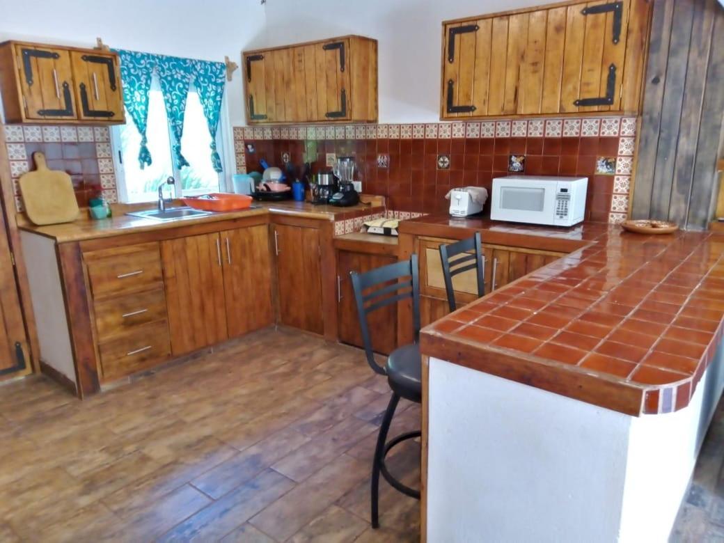 Casa Rio Cuale And River Retreat 푸에르토 발라타 외부 사진