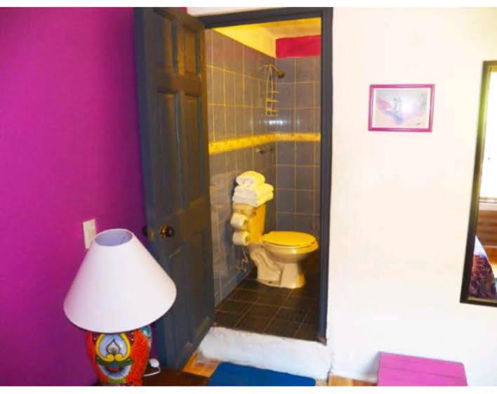 Casa Rio Cuale And River Retreat 푸에르토 발라타 외부 사진
