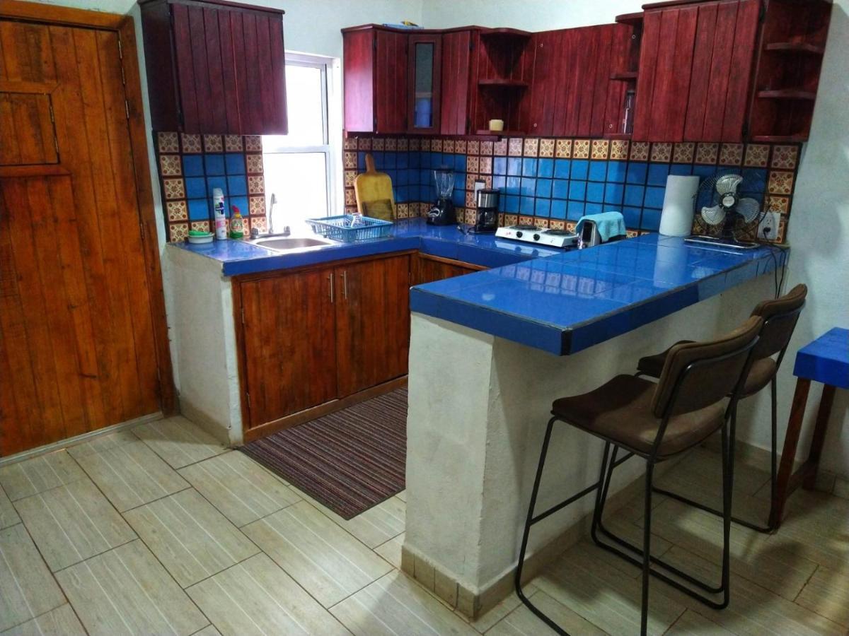 Casa Rio Cuale And River Retreat 푸에르토 발라타 외부 사진