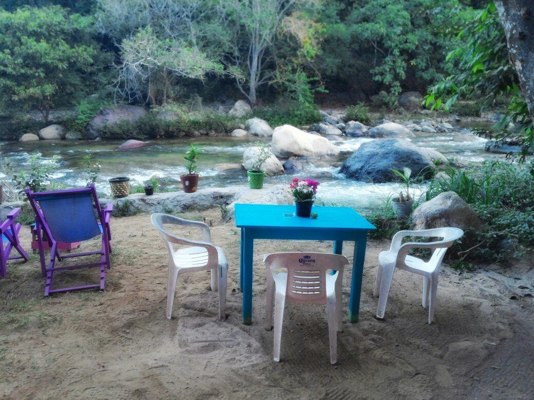 Casa Rio Cuale And River Retreat 푸에르토 발라타 외부 사진