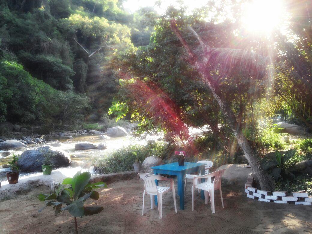 Casa Rio Cuale And River Retreat 푸에르토 발라타 외부 사진