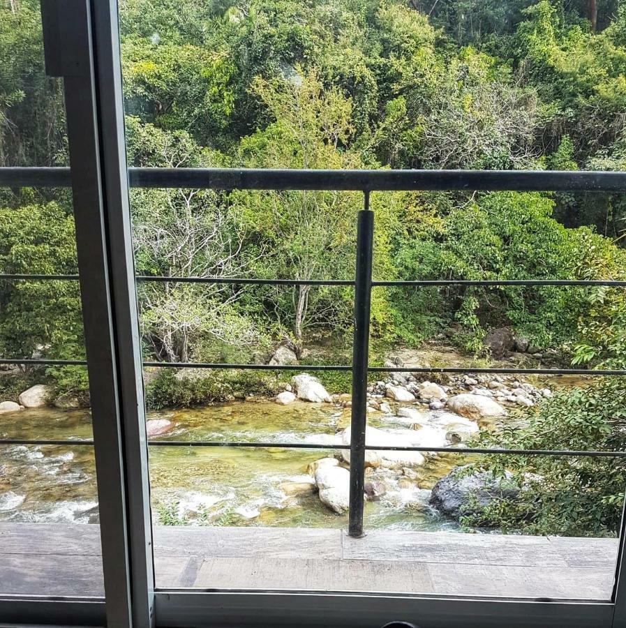 Casa Rio Cuale And River Retreat 푸에르토 발라타 외부 사진