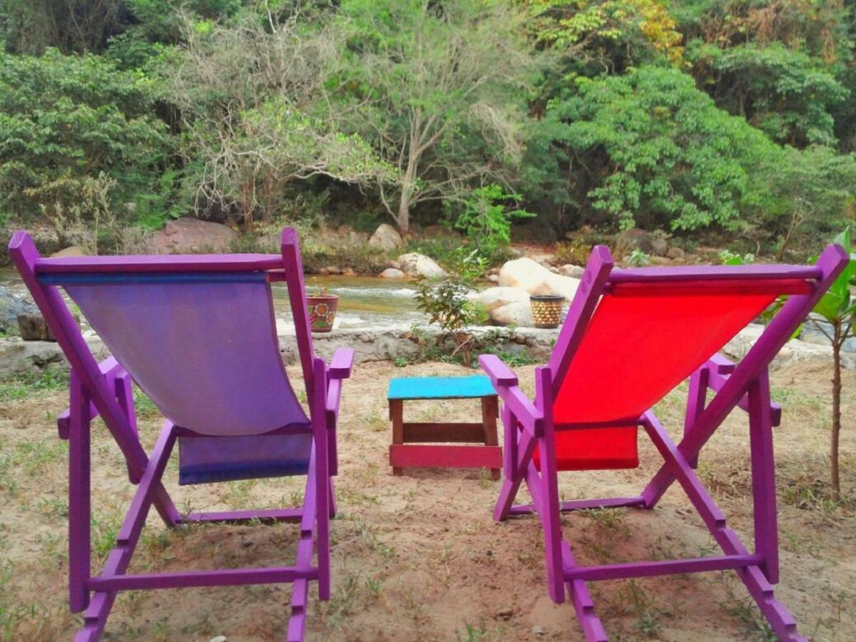Casa Rio Cuale And River Retreat 푸에르토 발라타 외부 사진