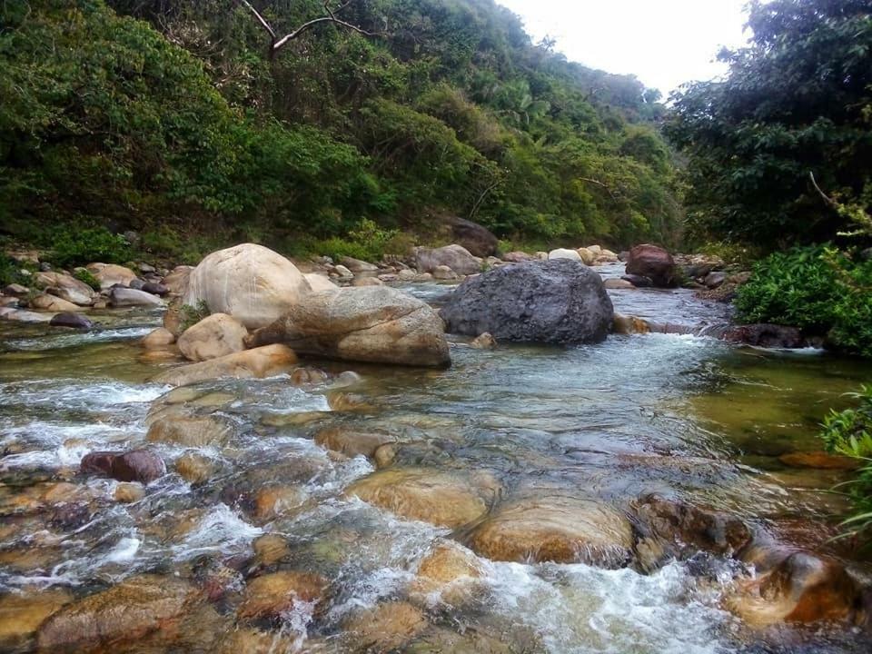 Casa Rio Cuale And River Retreat 푸에르토 발라타 외부 사진